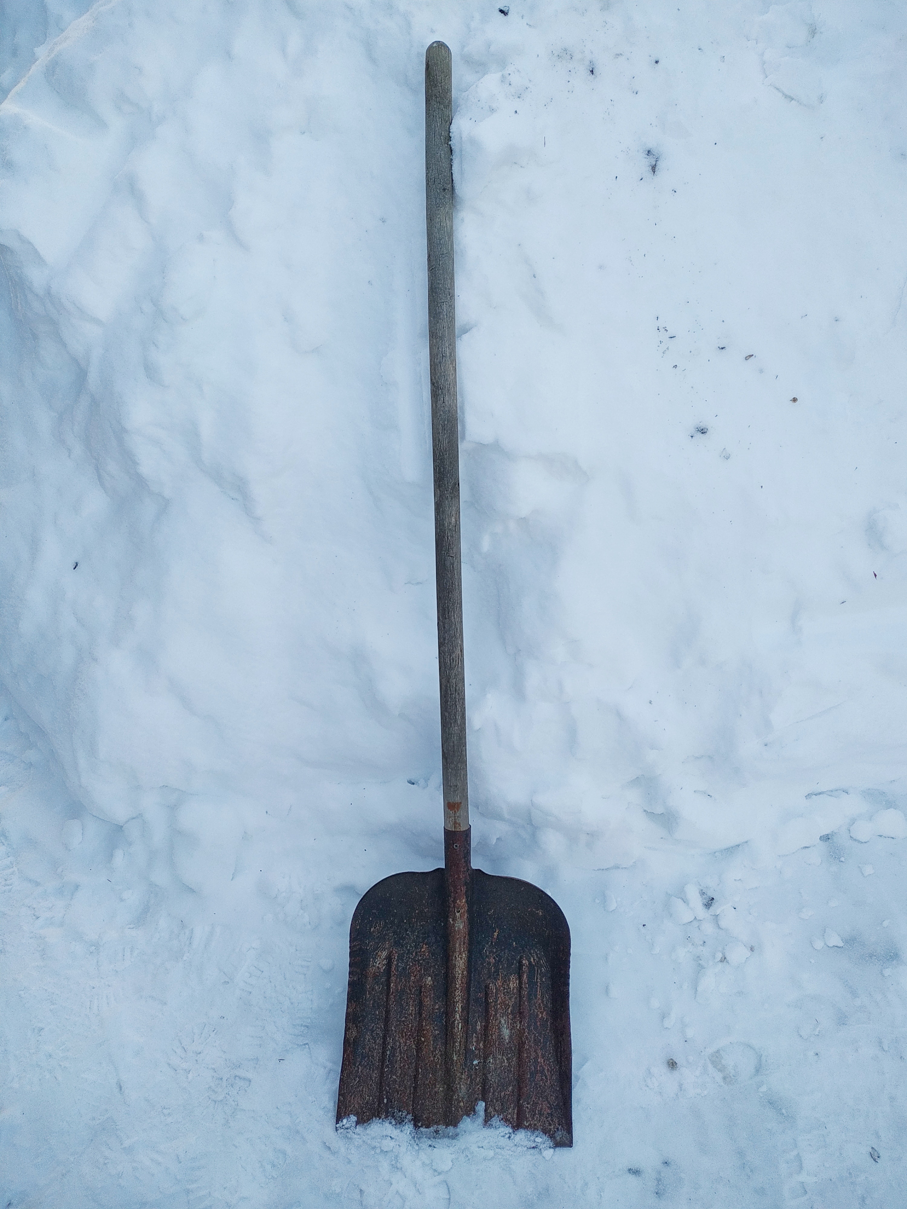 Shovels/Scoops/Snow